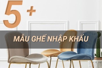 Các Mẫu Ghế Nhập Khẩu Cao Cấp, Sang Trọng Được Yêu Thích Hiện Nay