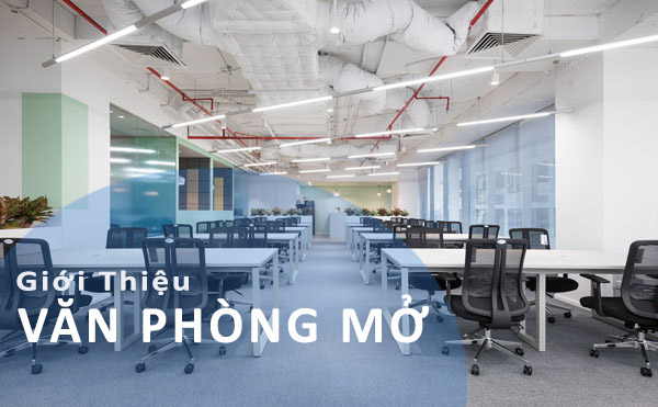 Văn Phòng Mở Là Gì? Đặc Điểm Nào Tạo Nên Sự Nổi Bật của Không Gian Mở