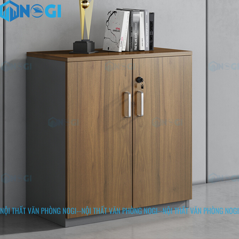 Tủ tài liệu gỗ TTL-G01