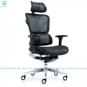 Ghế Công Thái Học Ergonomic
